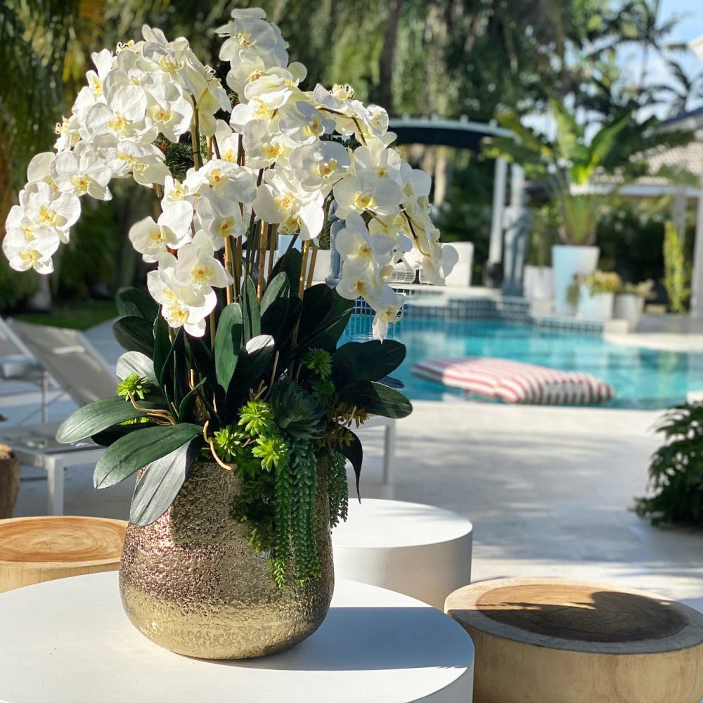 Delaney Gold Pot with Multiple Stems of Phalaenopsis Orchids and Succulents - Image 4