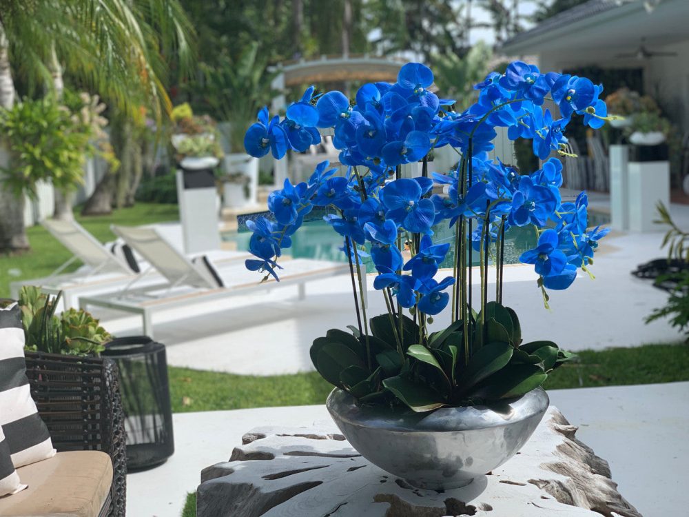 Avenue bowl with blue Phalaenopsis orchids - Image 2
